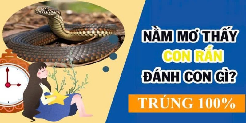 Mơ thấy rắn 2 con thì điềm báo việc gì?