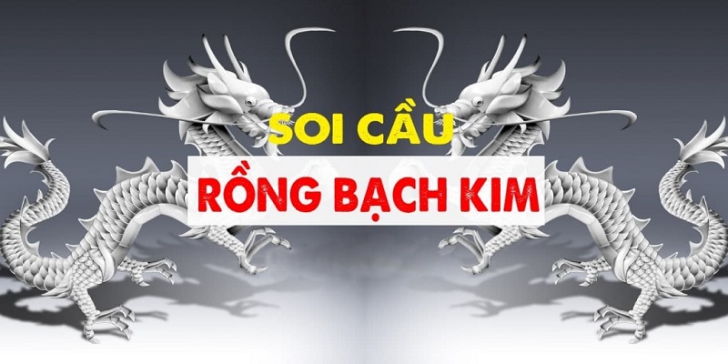 Soi cầu Rồng bạch kim là gì?